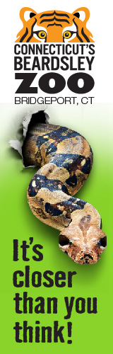 Connecticut's Beardsley Zoo