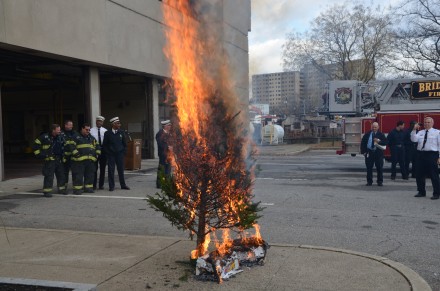 Christmas tree fire