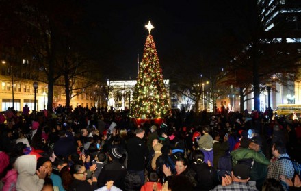 2015 tree lighting