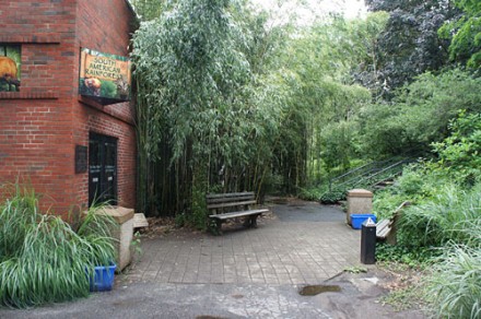 Beardsley Zoo rain forest