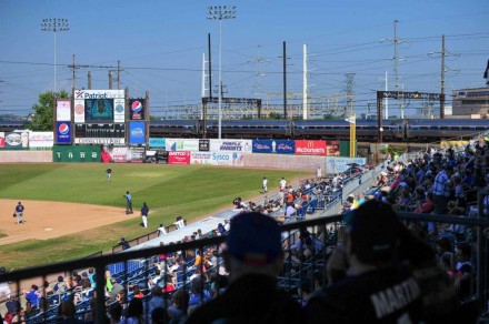 Bluefish final game