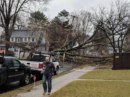 tree down Black Rock