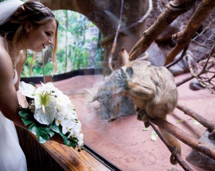 zoo wedding