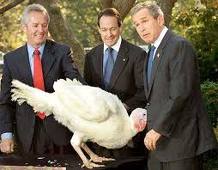 Bush and turkey