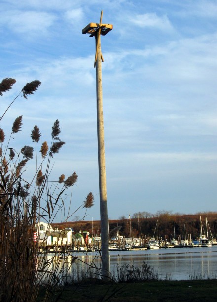 Osprey platform along Burr Creek with Captain's Cove Seaport in background.