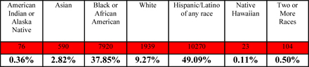 Student Ethnicity/Race by School