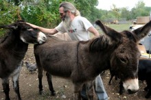 Chris Toole and donkeys