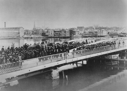 Barnum marches elephants across the Stratford Avenue bridge.